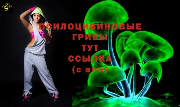 эйфоретик Нягань