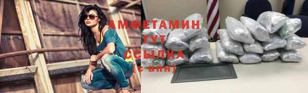 прущая мука Вяземский