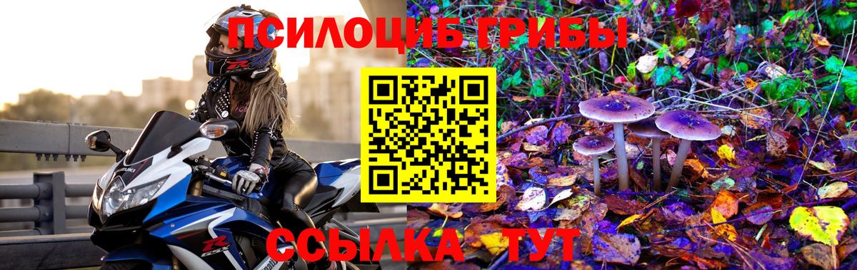 Галлюциногенные грибы GOLDEN TEACHER  Вход с VPN  Серов 